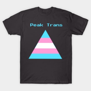 Peak Trans T-Shirt